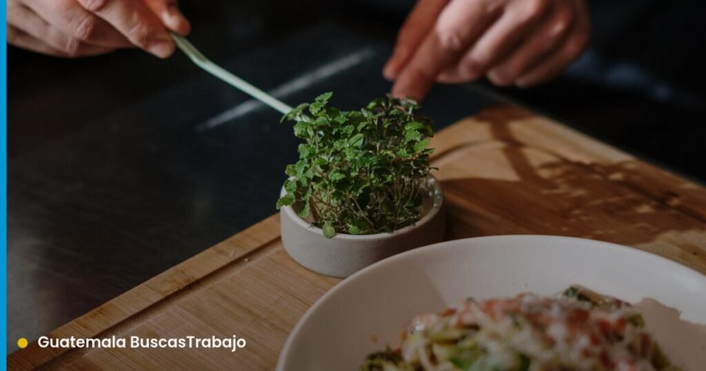 Ayudante de Cocina