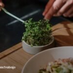 Ayudante de Cocina